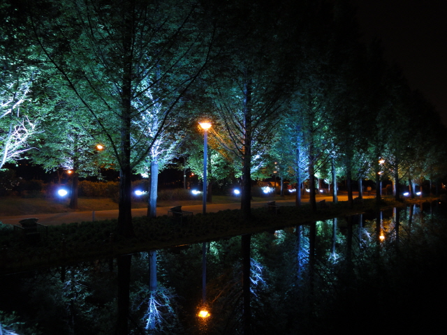 [DSC-WX1] 008.jpg